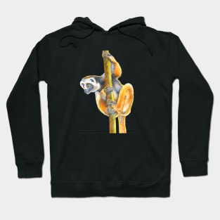 Lemur Hoodie